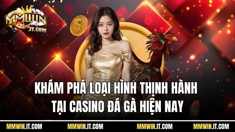 Khám phá các loại hình thịnh hành tại casino đá gà hiện nay